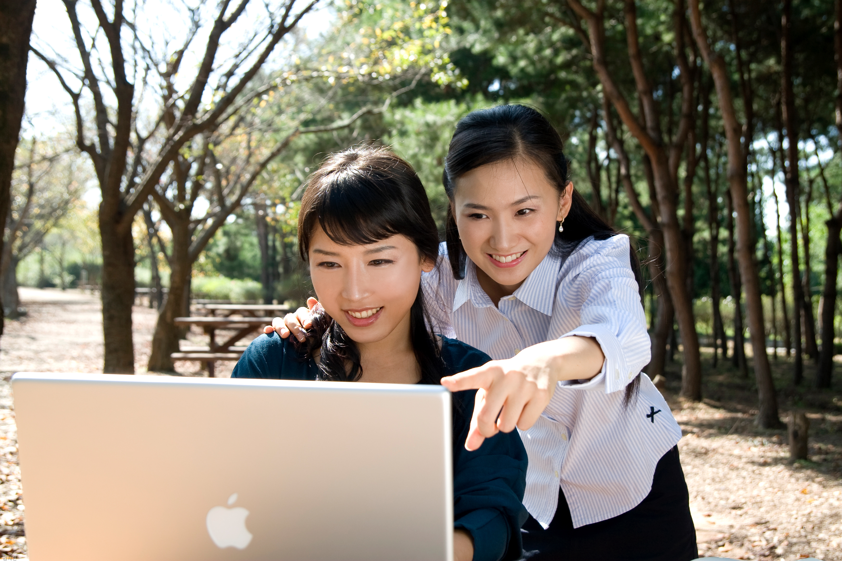 노트북을 보는 학생들 모습