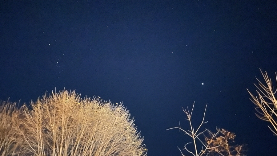 치유농업 동아리 팜파티4