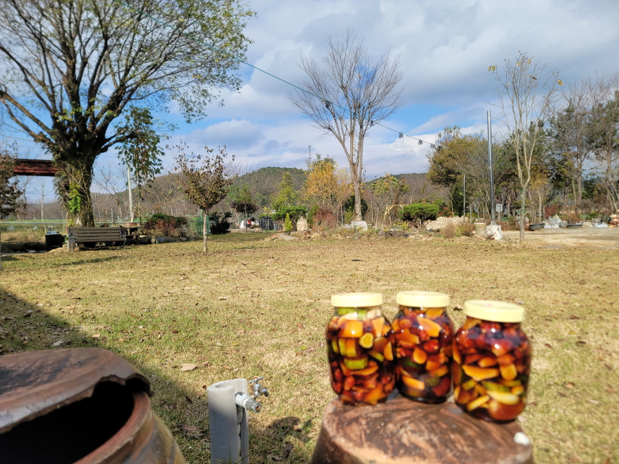 치유농업 동아리 팜파티1