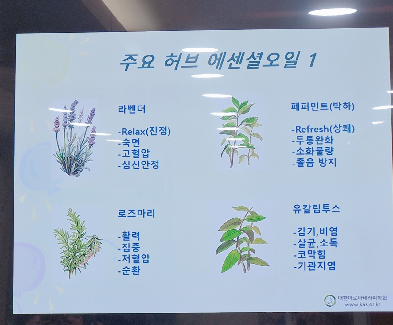 허브와 향기치유3