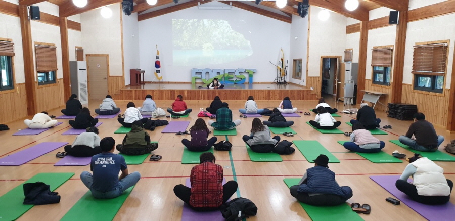 국립장성숲체원 테마여행 요가체험 사진