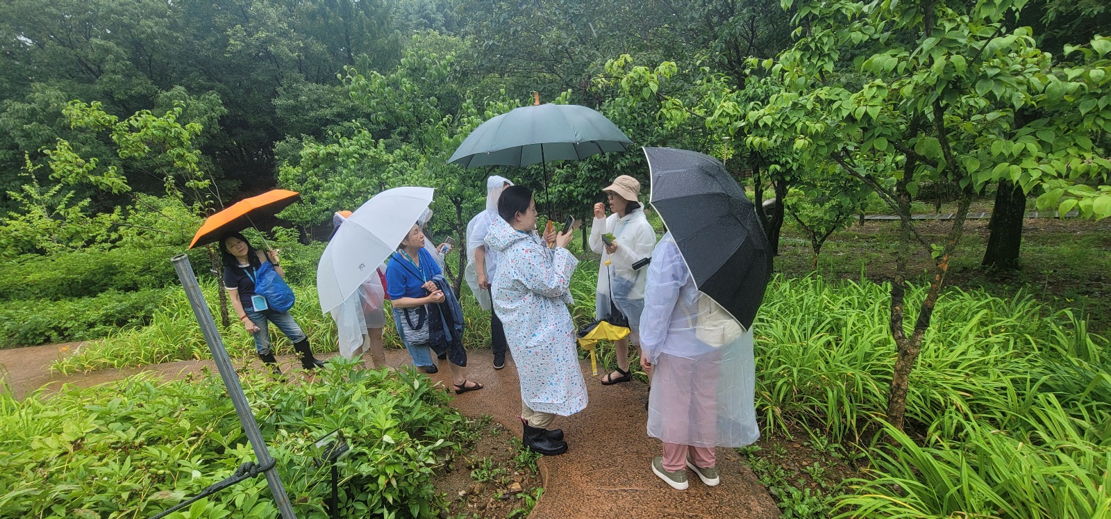 대구수목원 본초탐방3