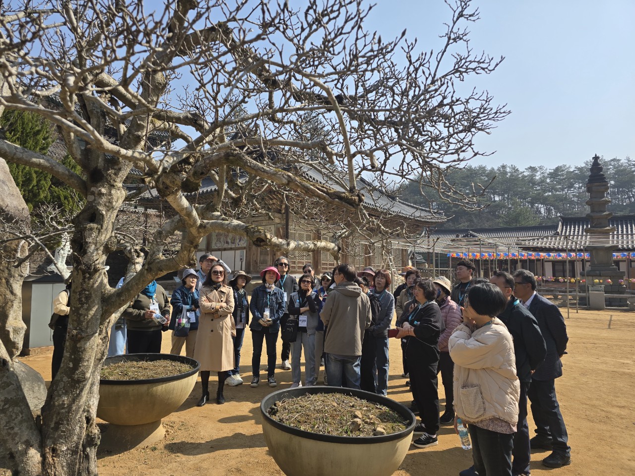 2025학년도 1학기 MT6