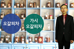 중년 건강차 추천, 가시오갈피차