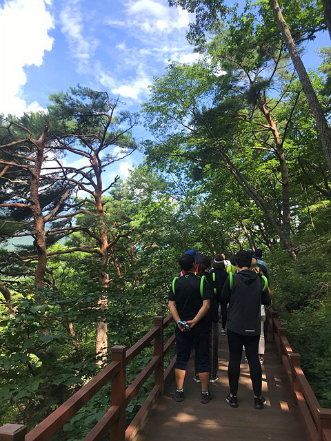 숲 길 체험 모습