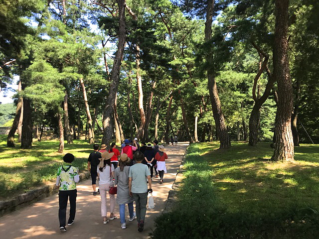 숲 길 체험 모습