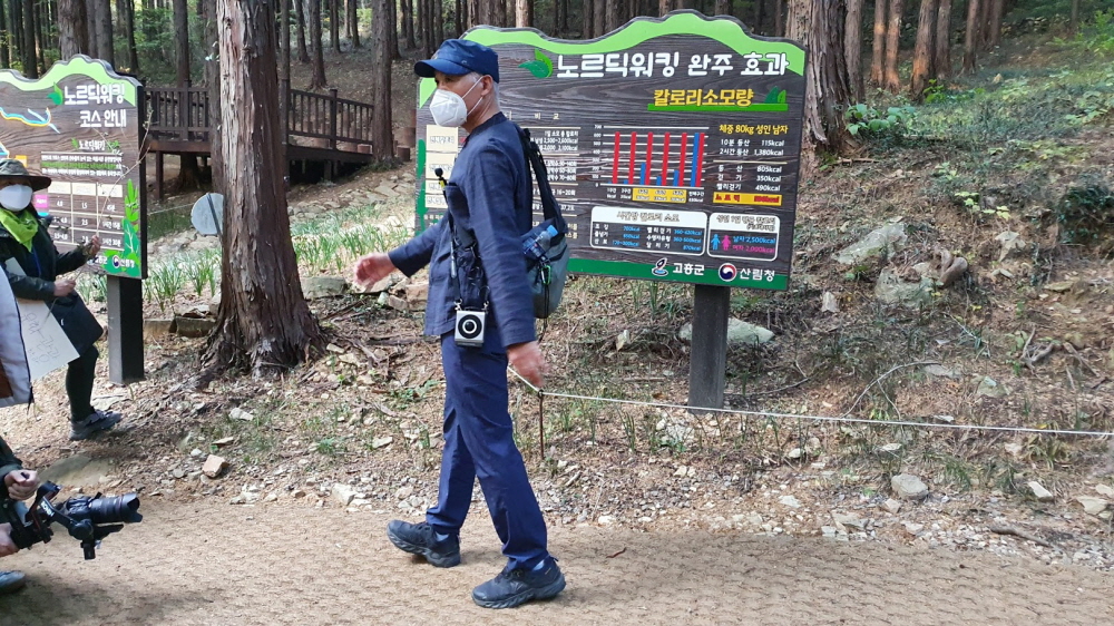 노르딕 워킹 시범