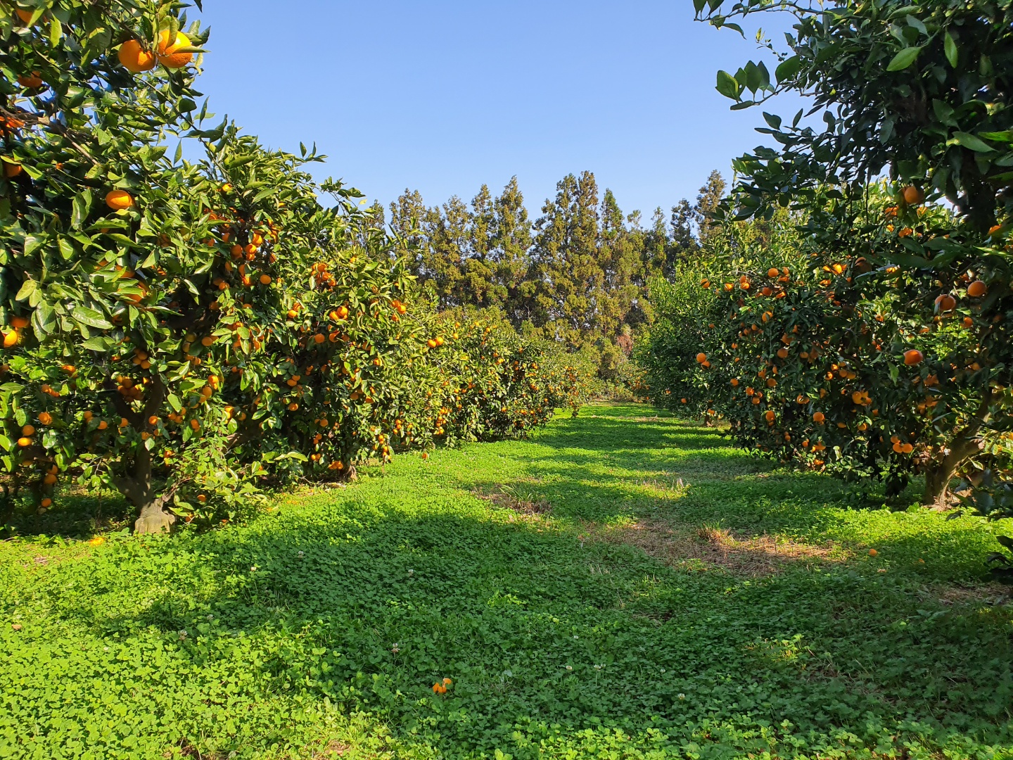 강명실 학우가 운영하는 폴개협동조합 사진 3