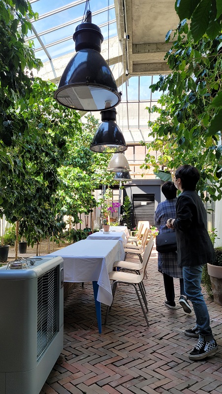 커피박물관의 마지막 코스이자 실제 커피나무를 볼 수 있는 정원 사진