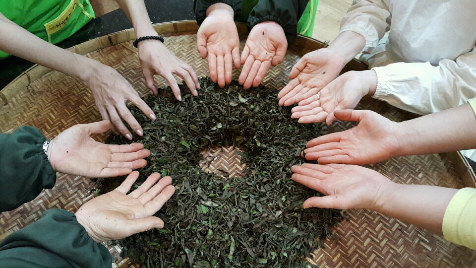 [사진] 제다사 자격과정 2급, 1급 통합과정 수업