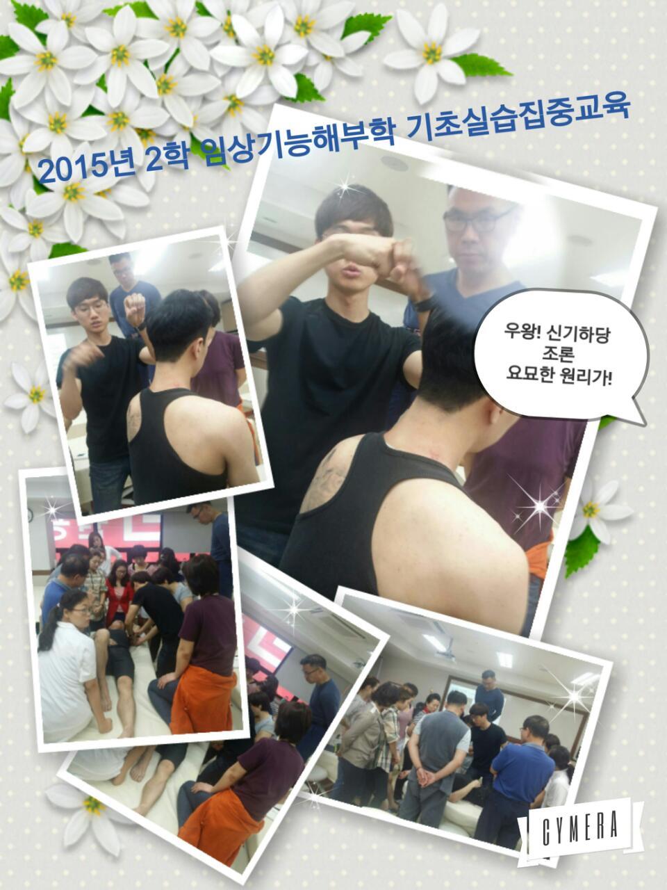 2015년 2학기 임상기능해부학실습, 임상기능해부학INTRO, 추나학 교육 사진