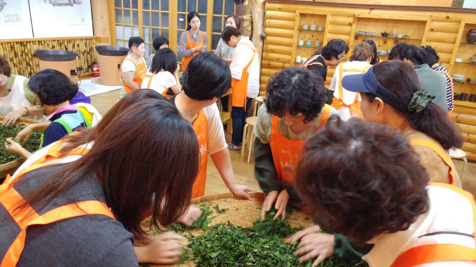 [사진] 보향다원 제다 사진