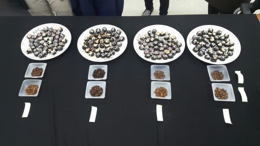 [보성] 보성 인성 교육 핸드드립