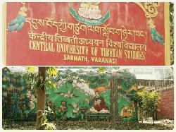 2016년 인도연수