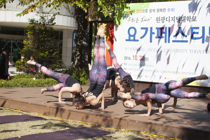 요가페스티벌(2016.10.30)