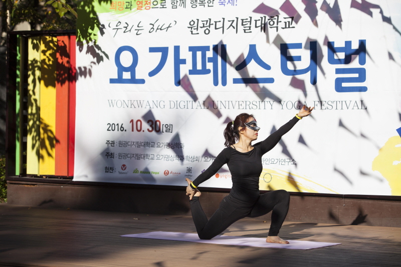 요가페스티벌(2016.10.30)