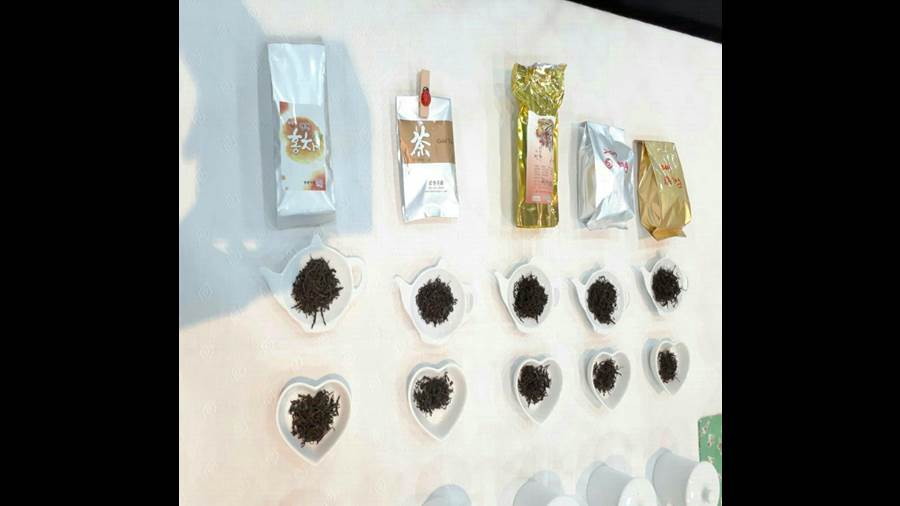 [사진] 보성지역 후배지도자양성과정 홍차티마스터 13주
