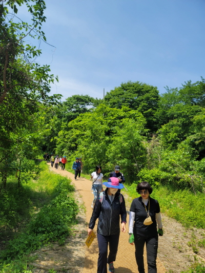 사회복지학과 동문회 - 대청호 둘레길(5월14일) -2