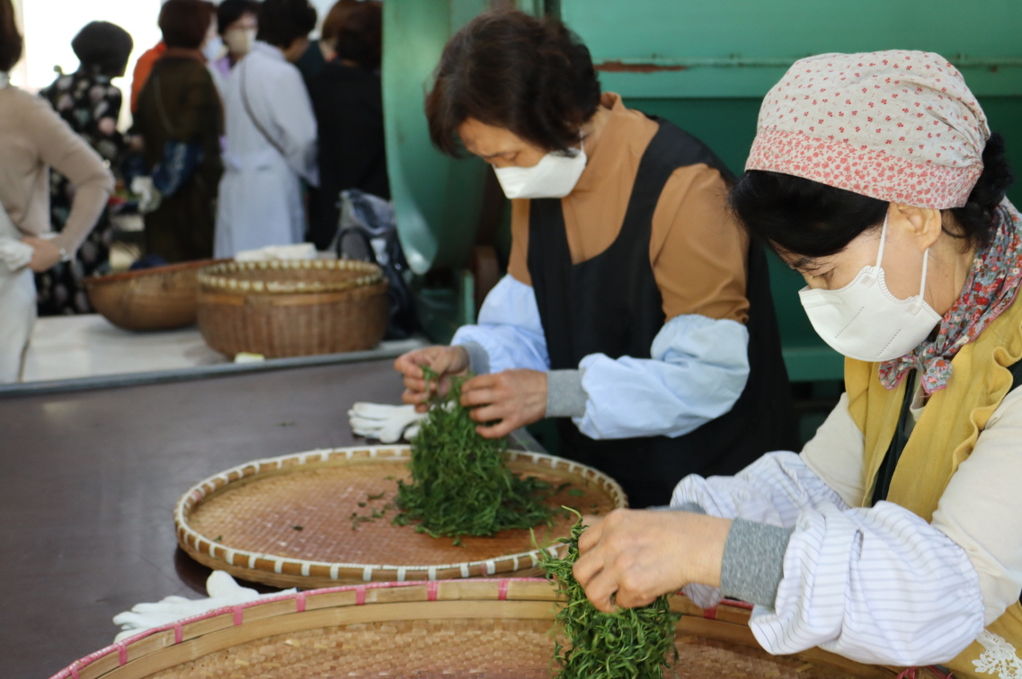 220514-15 차문화경영학과 MT_곡천다원,수연제다실습