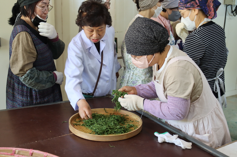 220514-15 차문화경영학과 MT_곡천다원,수연제다실습