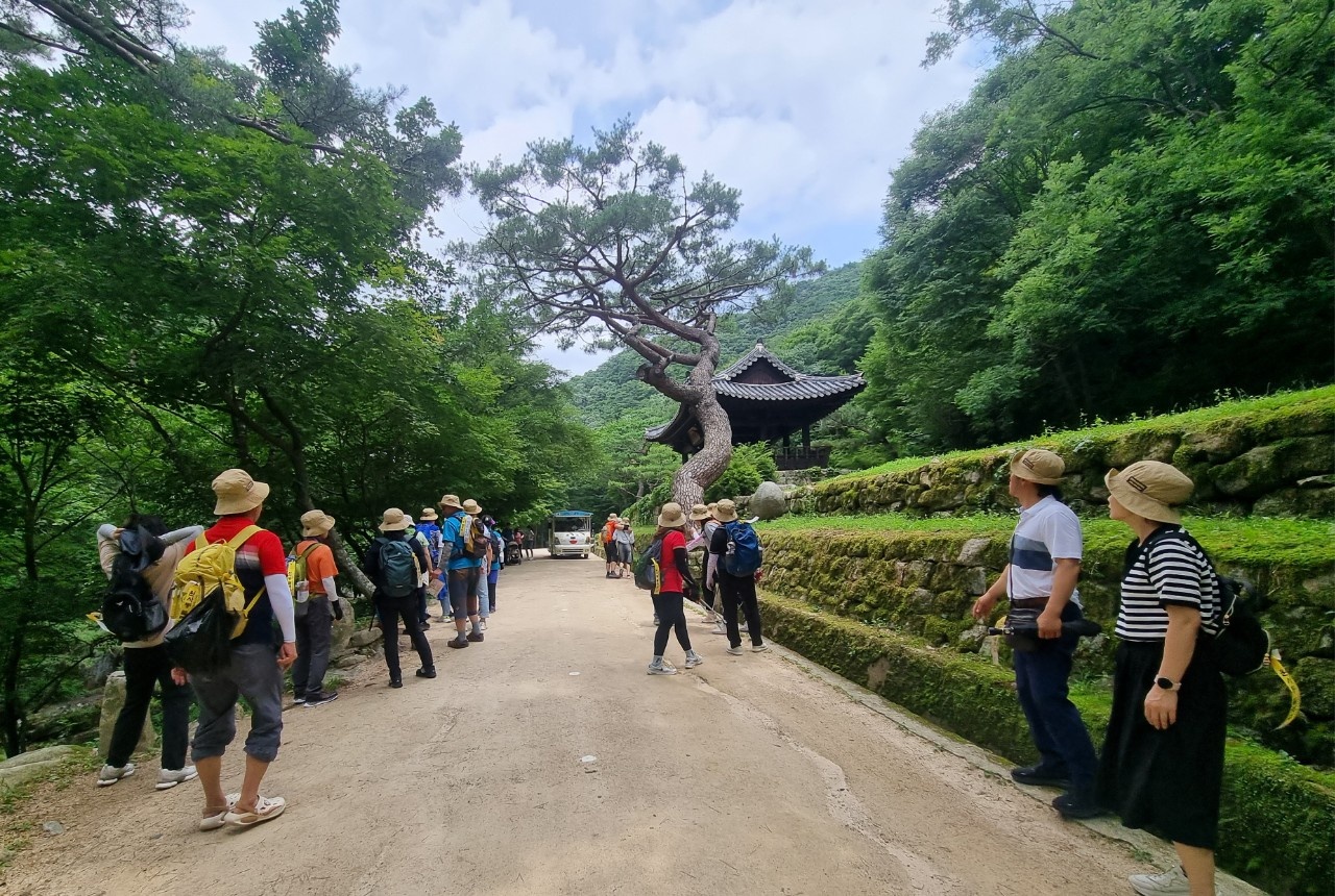 7월6일 문경새재 원사동 둘레길