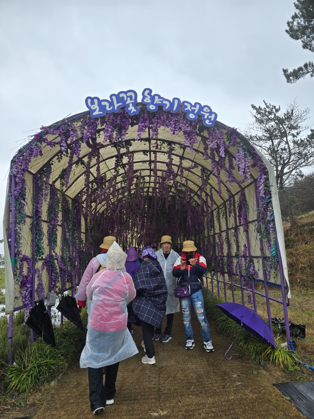 목포 퍼플섬 둘레길 탐방